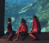 North Carolina Aquarium at Fort Fisher